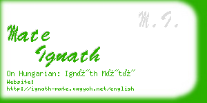 mate ignath business card